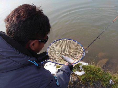 つりぼりあかし 釣果