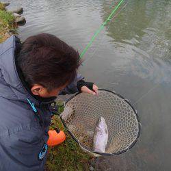 つりぼりあかし 釣果