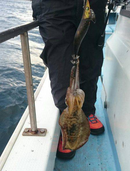 シースナイパー海龍 釣果