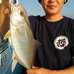 阿波哲 釣果