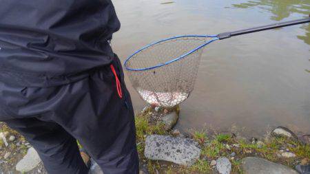 つりぼりあかし 釣果