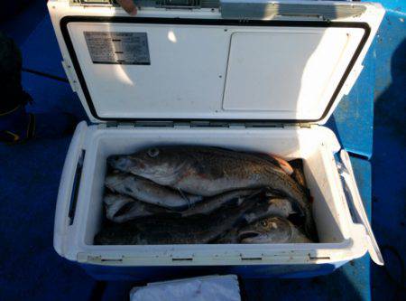 海龍丸（石川） 釣果