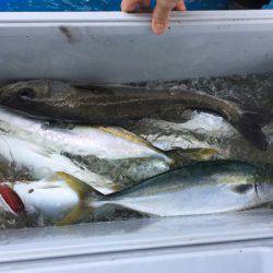 海龍丸（石川） 釣果