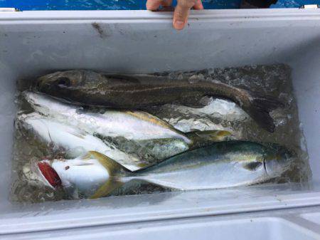 海龍丸（石川） 釣果