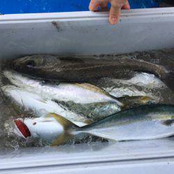 海龍丸（石川） 釣果