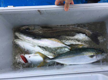 海龍丸（石川） 釣果