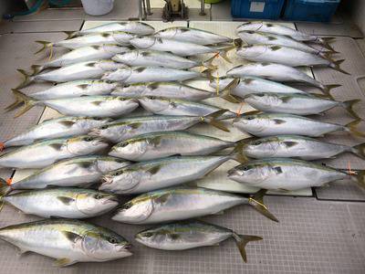 ミタチ丸 釣果