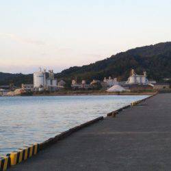 中浦緑地公園テンヤでタチウオ