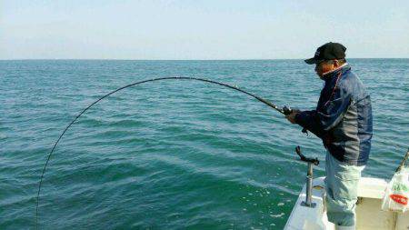 釣り船くわだ 釣果