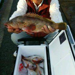 釣り船くわだ 釣果