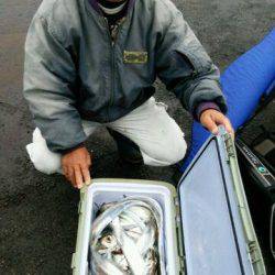 釣り船くわだ 釣果