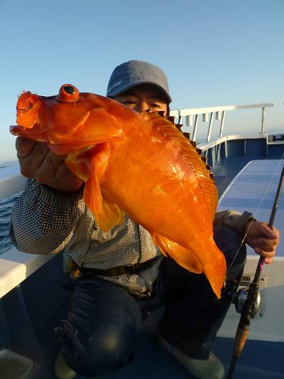 松栄丸 釣果