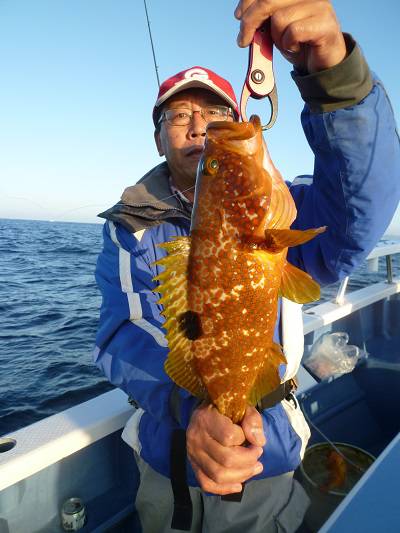 松栄丸 釣果