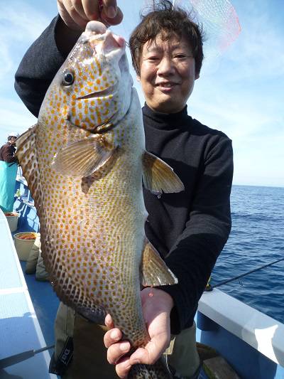 松栄丸 釣果