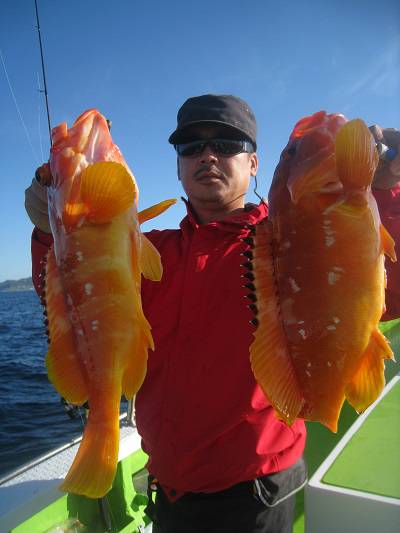 松栄丸 釣果