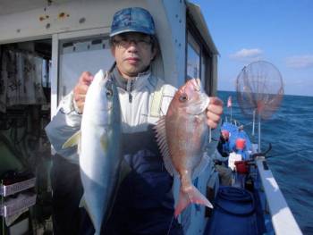 鯛紅丸 釣果