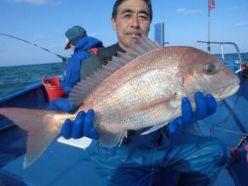 鯛紅丸 釣果