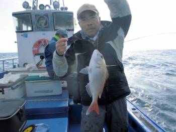 鯛紅丸 釣果