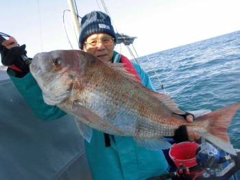 鯛紅丸 釣果