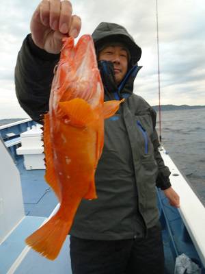 松栄丸 釣果