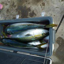 浅間丸 釣果