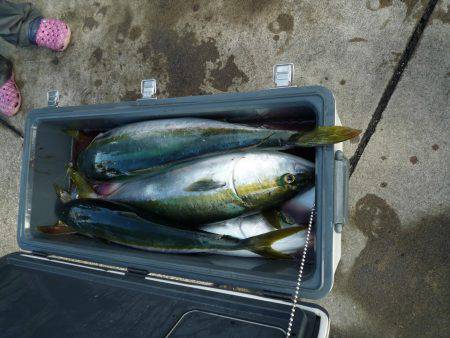 浅間丸 釣果