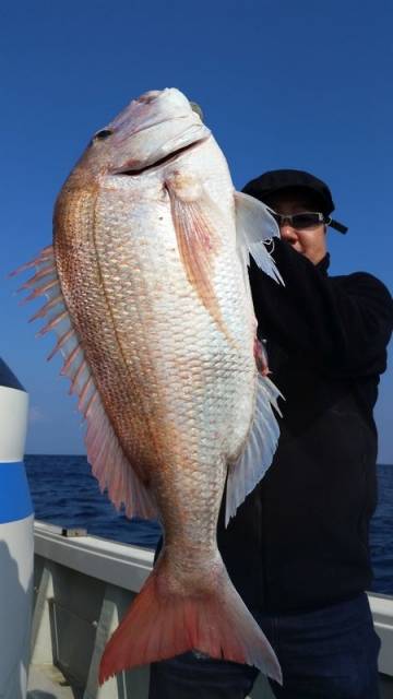 飛燕さくら丸 釣果