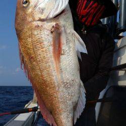 飛燕さくら丸 釣果