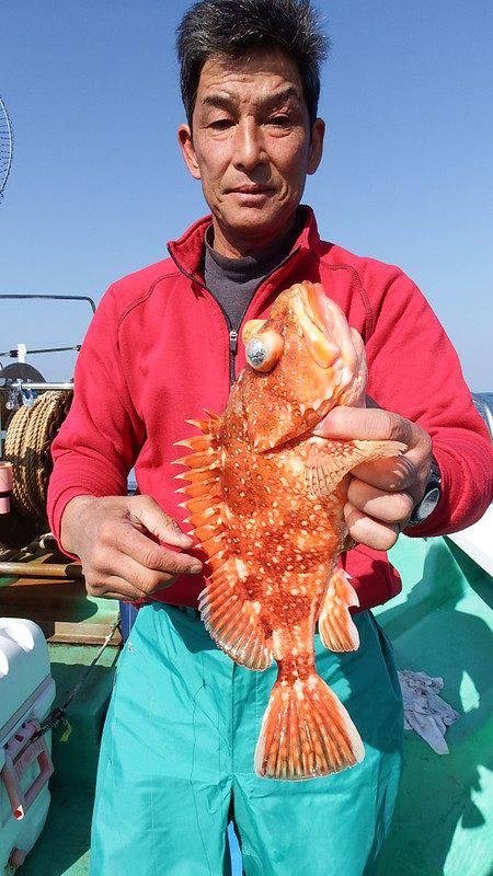 第三むつりょう丸 釣果