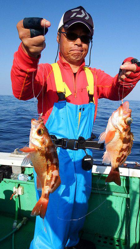 第三むつりょう丸 釣果