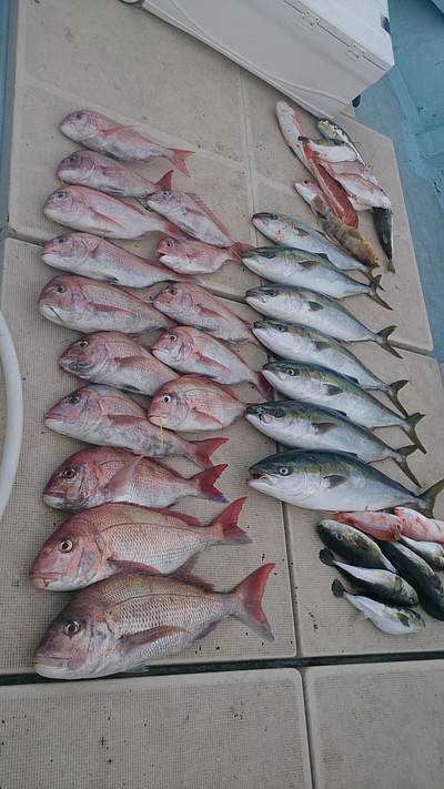 旭星釣りセンター 釣果