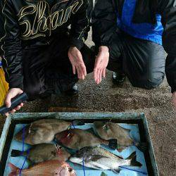 明神釣船 釣果