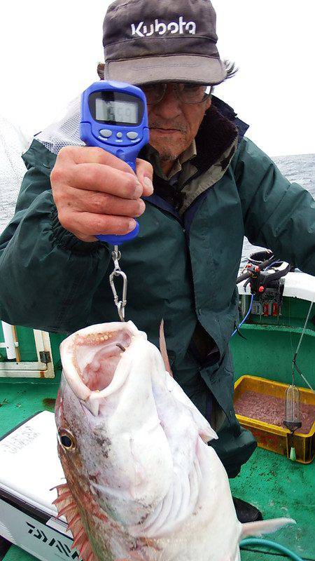 第三むつりょう丸 釣果