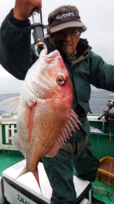 第三むつりょう丸 釣果