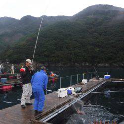 フィッシングパーク錦 釣果