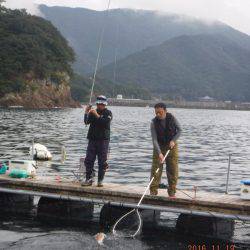 フィッシングパーク錦 釣果