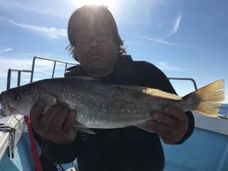 大宝丸 釣果