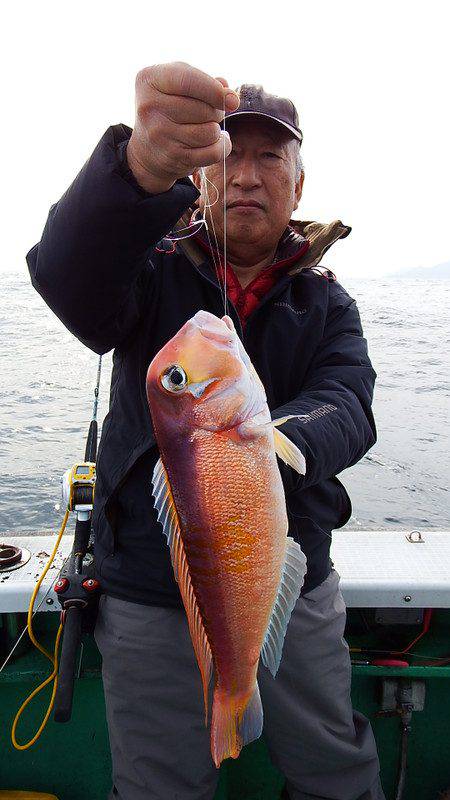 第三むつりょう丸 釣果