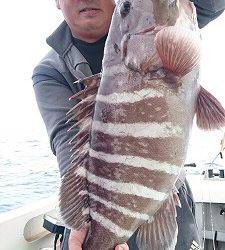 海龍丸（福岡） 釣果