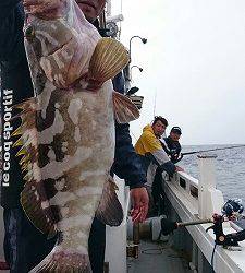 海龍丸（福岡） 釣果