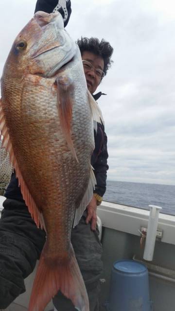 飛燕さくら丸 釣果