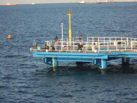 オリジナルメーカー海づり公園(市原市海づり施設) 釣果