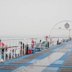 オリジナルメーカー海づり公園(市原市海づり施設) 釣果