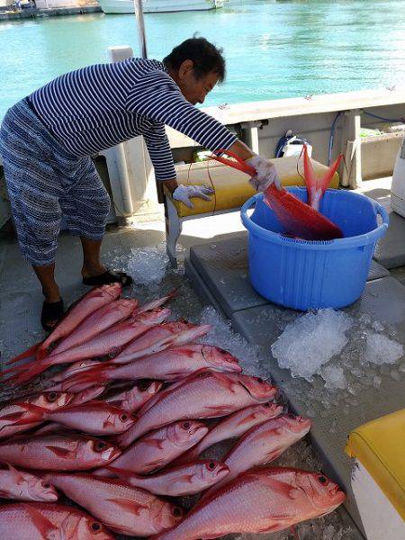 真生丸 釣果