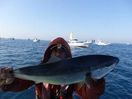 久里浜黒川本家 釣果