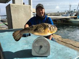 おざき丸 釣果