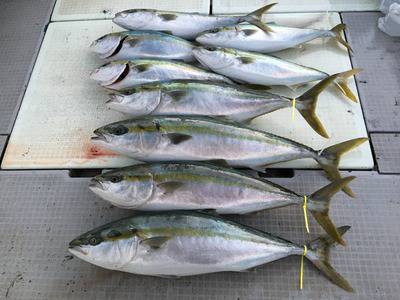 ミタチ丸 釣果