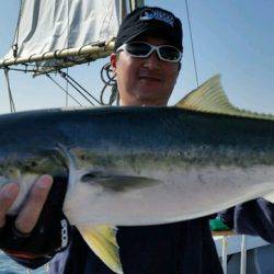 つれ鷹丸 釣果