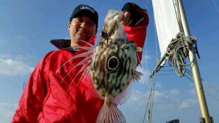 つれ鷹丸 釣果