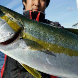 つれ鷹丸 釣果